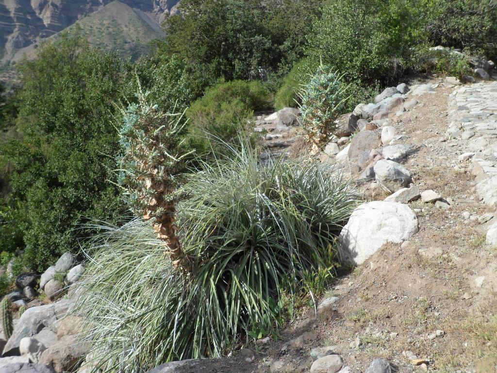 Cabanas El Cielo San José de Maipo الغرفة الصورة